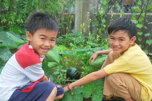 Ký ức tuổi thơ
