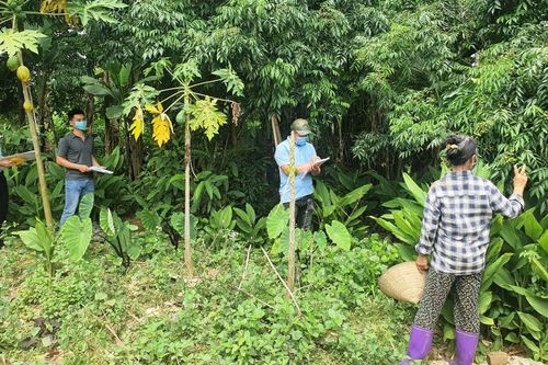 Thành phố triển khai giải phóng mặt bằng 20 dự án