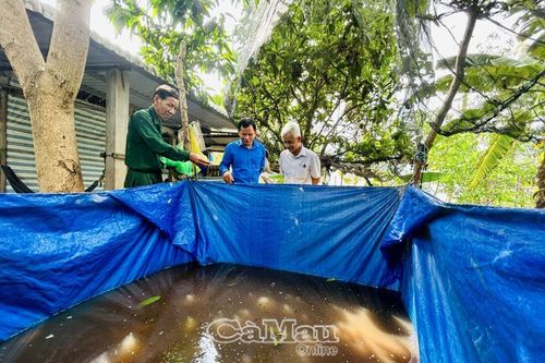 Cựu chiến binh Phan Thanh Sử giỏi làm kinh tế