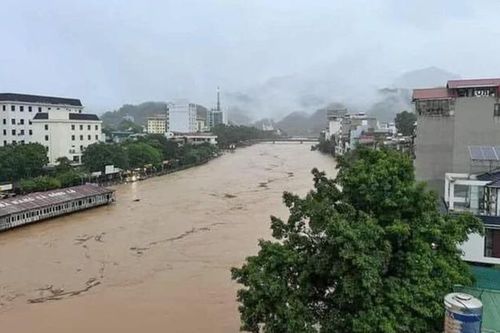 Mưa lớn hoành hành, miền Bắc nhiều nơi chìm trong biển nước