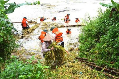 Từ 14-17/6 vùng núi và trung du Bắc Bộ có mưa to đến rất to, Thủ tướng chỉ đạo khẩn