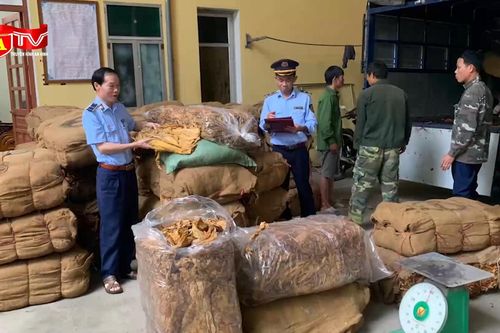 Phát hiện gần 15 tấn nguyên liệu thuốc lá không nguồn gốc trên đường vận chuyển