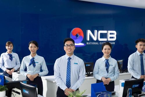 Có 13 nhà đầu tư đăng ký tham gia đợt chào bán cổ phiếu riêng lẻ của NCB