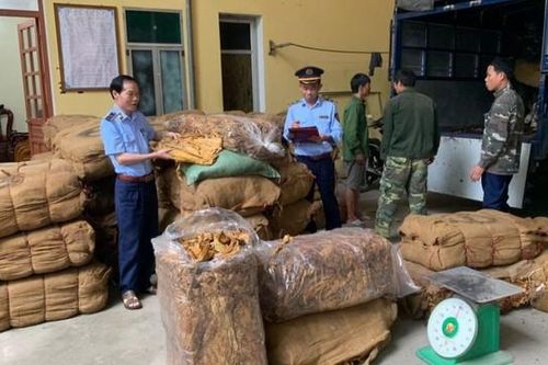 Lạng Sơn: chặn đứng gần 15 tấn nguyên liệu thuốc lá không rõ nguồn gốc