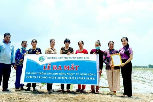 Thành công nhờ khởi nghiệp trồng dưa Kim Hồng Ngọc trên đất lúa