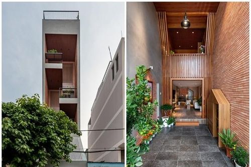 Chỉ 3,5m, nhà Sài Gòn tiện nghi chẳng kém khu nghỉ dưỡng