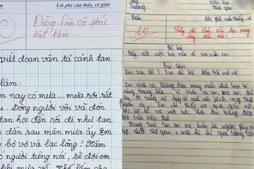 Bài văn chỉ 8 dòng nhưng khiến cô giáo chấm điểm 10