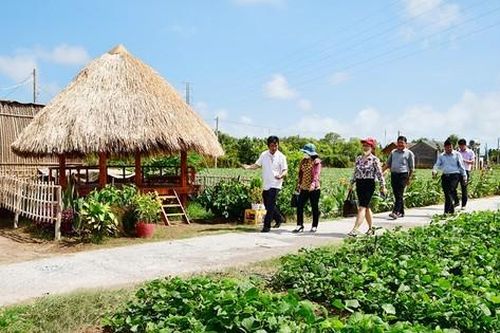 Tỉnh Trà Vinh đã thành nông thôn mới