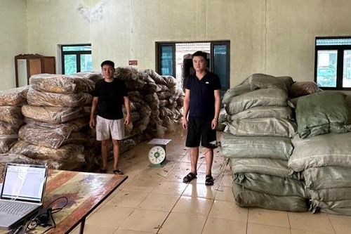 Bắt giữ 2 vụ vận chuyển hơn 5 tấn thuốc lá sấy khô không rõ nguồn gốc