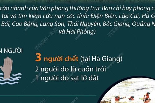 Thiệt hại do thiên tai xảy ra ngày 9 và 10/6/2024 tại một số địa phương