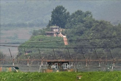 Quân đội Hàn Quốc nổ súng cảnh báo nhóm binh sĩ Triều Tiên