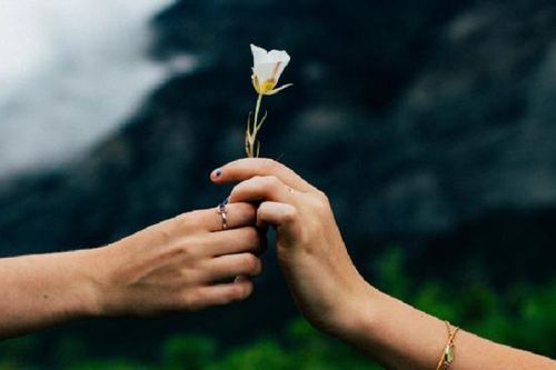 Kỳ vọng rất đau