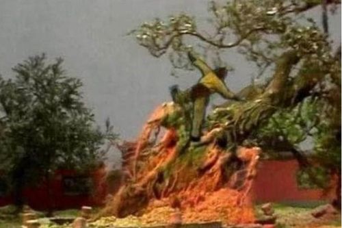 Trong 'Tây Du Ký', dù biết là quả quý nhưng vì sao Tôn Ngộ Không nhất định phải quật đổ cây Nhân Sâm của Trấn Nguyên đại tiên?