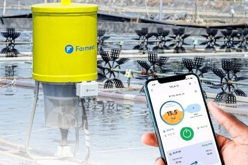 Hiện thực hóa giấc mơ nuôi tôm bằng công nghệ