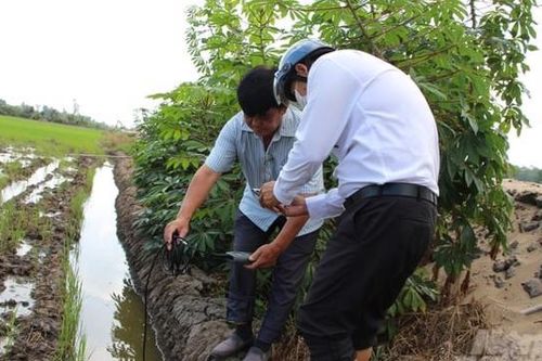 Thủ tướng Chính phủ chỉ đạo làm rõ vụ việc lúa chết do thi công cao tốc Cần Thơ - Cà Mau tại Hậu Giang
