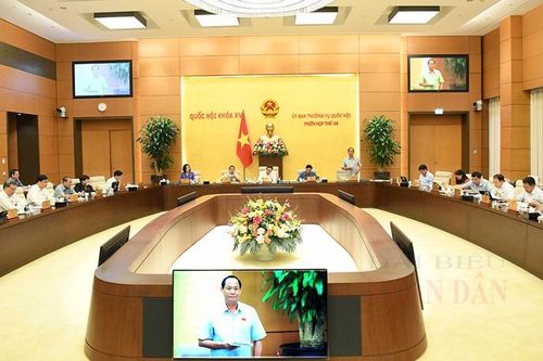 Rà soát kỹ quy định về tiêu chuẩn, điều kiện đường cao tốc