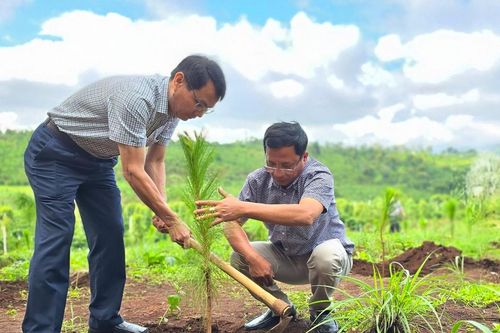 Pleiku phát động 'Tết trồng cây đời đời nhớ ơn Bác Hồ'