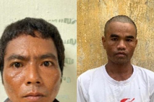 Krông Pa: Bắt giữ 2 đối tượng trộm cắp bò