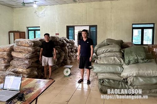 Văn Lãng: Tạm giữ hơn 5 tấn thuốc lá sấy khô không rõ nguồn gốc xuất xứ