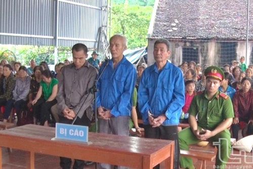 Mua bán trái phép chất ma túy và trộm cắp tài sản, 3 đối tượng lĩnh án