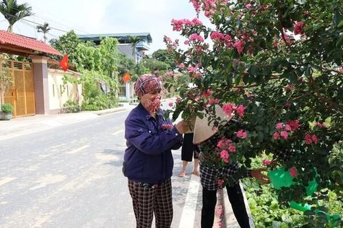 Từng là 'điểm đen' ô nhiễm môi trường, nhiều làng quê ở Hải Dương nay đã trở nên xanh-sạch-đẹp