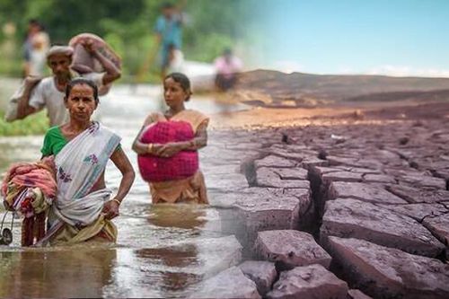 Thế giới đang trải qua năm 2024 đầy rẫy thiên tai, chủ yếu do con người đốt nhiên liệu hóa thạch