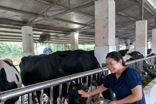 Trợ lực vốn 'hợp tình, hợp lý' để không vuột mất cơ hội đầu tư kinh doanh