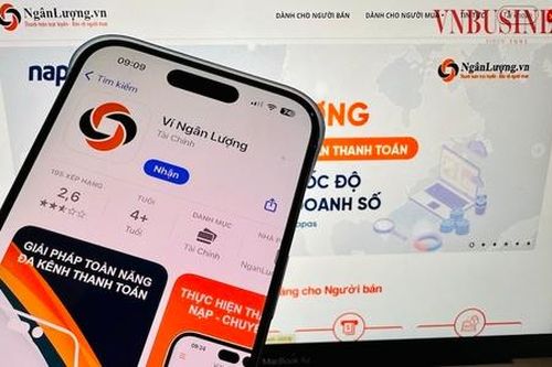 Ví điện tử Ngân lượng của Shark Bình bị xử phạt và truy thu thuế hơn 1,2 tỷ đồng