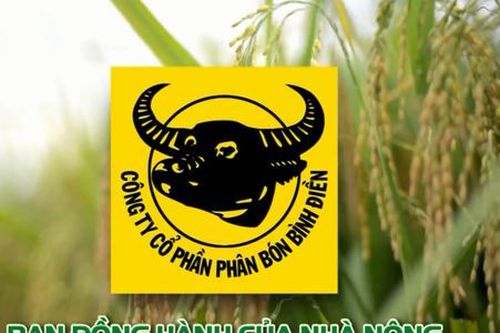 Công ty phân bón Bình Điền bị xử phạt nặng vì khai sai thuế