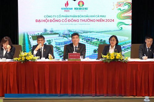 DCM giảm một nửa tỷ lệ chia cổ tức năm 2024