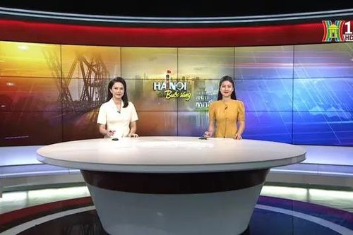 Chương trình Hà Nội buổi sáng | 11/06/2024