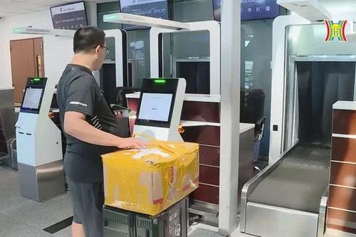 Sân bay Đà Nẵng vận hành quầy tự gửi hành lý