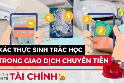 Bản tin Kinh tế Tài chính | 11/06/2024