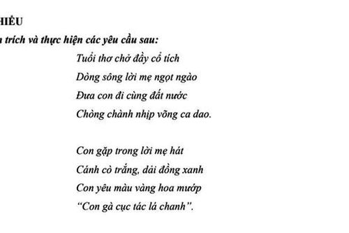 Đề thi thử tốt nghiệp Ngữ văn: Sự cần thiết phải có khát vọng 'bay xa' trong cuộc đời