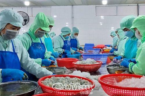 Công đoàn ở doanh nghiệp khó phát triển đoàn viên mới