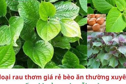 6 loại rau thơm giá rẻ bèo ăn thường xuyên sống khỏe mạnh mỗi ngày
