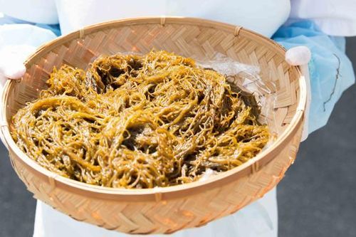 Lợi ích của chất Fucoidan từ tảo nâu Okinawa đối với sức khỏe