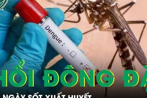 Phổi đông đặc sau 7 ngày sốt xuất huyết