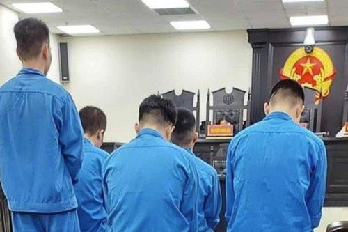 Rủ nhau trộm cắp tài sản trong siêu thị, nhóm thanh niên lĩnh án tù