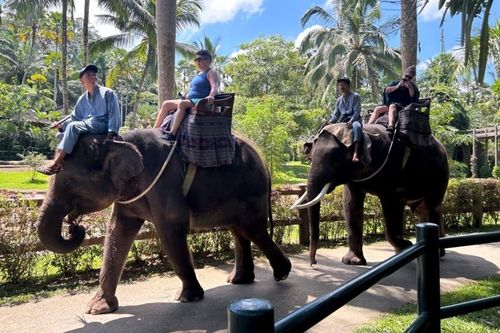 Tranh cãi voi thích được cưỡi tại Bali