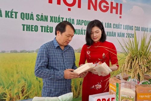 Trồng lúa có lãi, dân không bỏ ruộng