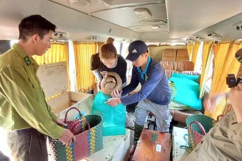 Tái thả động vật hoang dã quý hiếm về tự nhiên