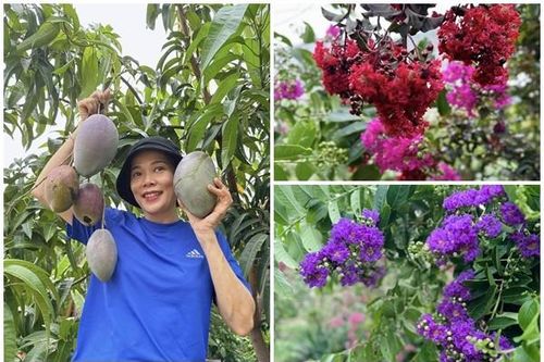 Xuýt xoa khu vườn ngập hoa thơm trái ngọt 10.000m2 của Mỹ Lệ