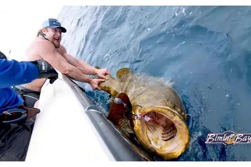 Hạ gục 'quái ngư' 300kg sau màn giằng co đầy kịch tính