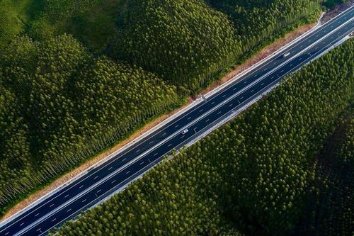 Chuyển đổi phương thức phát triển từ 'nâu' sang 'xanh': Vì sao Quảng Ninh thành công đến thế?