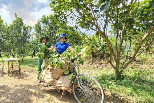 Sắc áo mới ở Chơ Chun