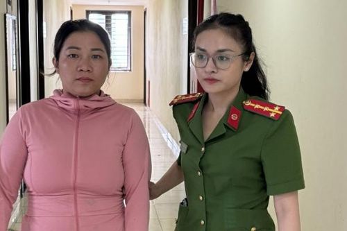 Bắt nữ quái môi giới mua bán trẻ em cho gia đình hiếm muộn