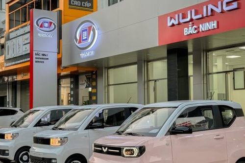 Xe điện Wuling 'ế ẩm', TMT Motors chỉ đạt 11% kế hoạch, cổ phiếu vẫn 'bốc đầu giảm sâu'