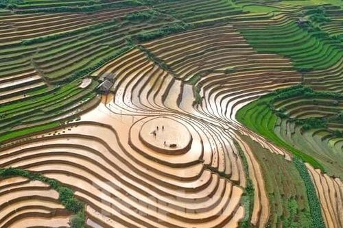Vẻ đẹp ruộng bậc thang Mù Cang Chải mùa nước đổ