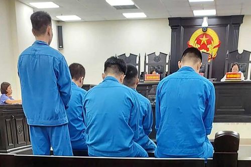 Nhóm thanh niên lĩnh án tù vì rủ nhau đi trộm tài sản ở siêu thị